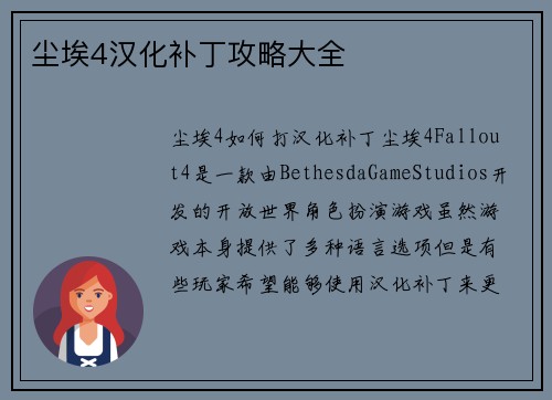 尘埃4汉化补丁攻略大全